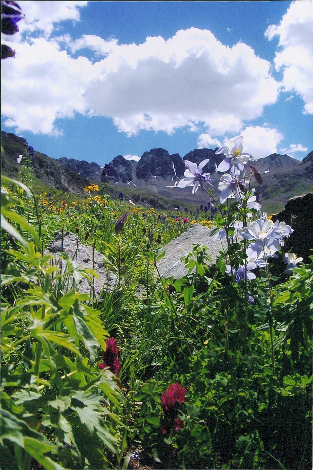 Lakeview Property Management, Inc. Vacation Rentals in Lake City